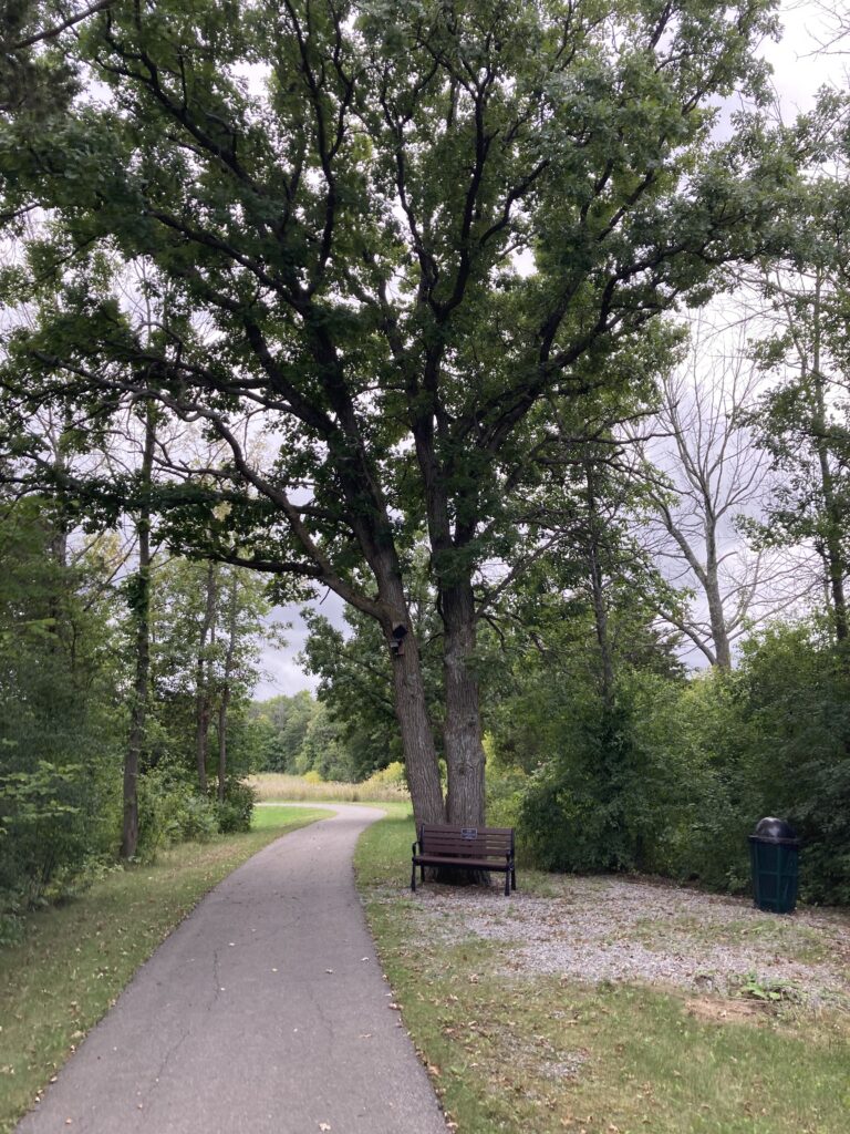 Tyendinaga Parks, Recreation and Trails Master Plan