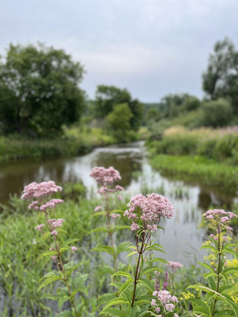 Trent Hills Parks and Recreation Master Plan