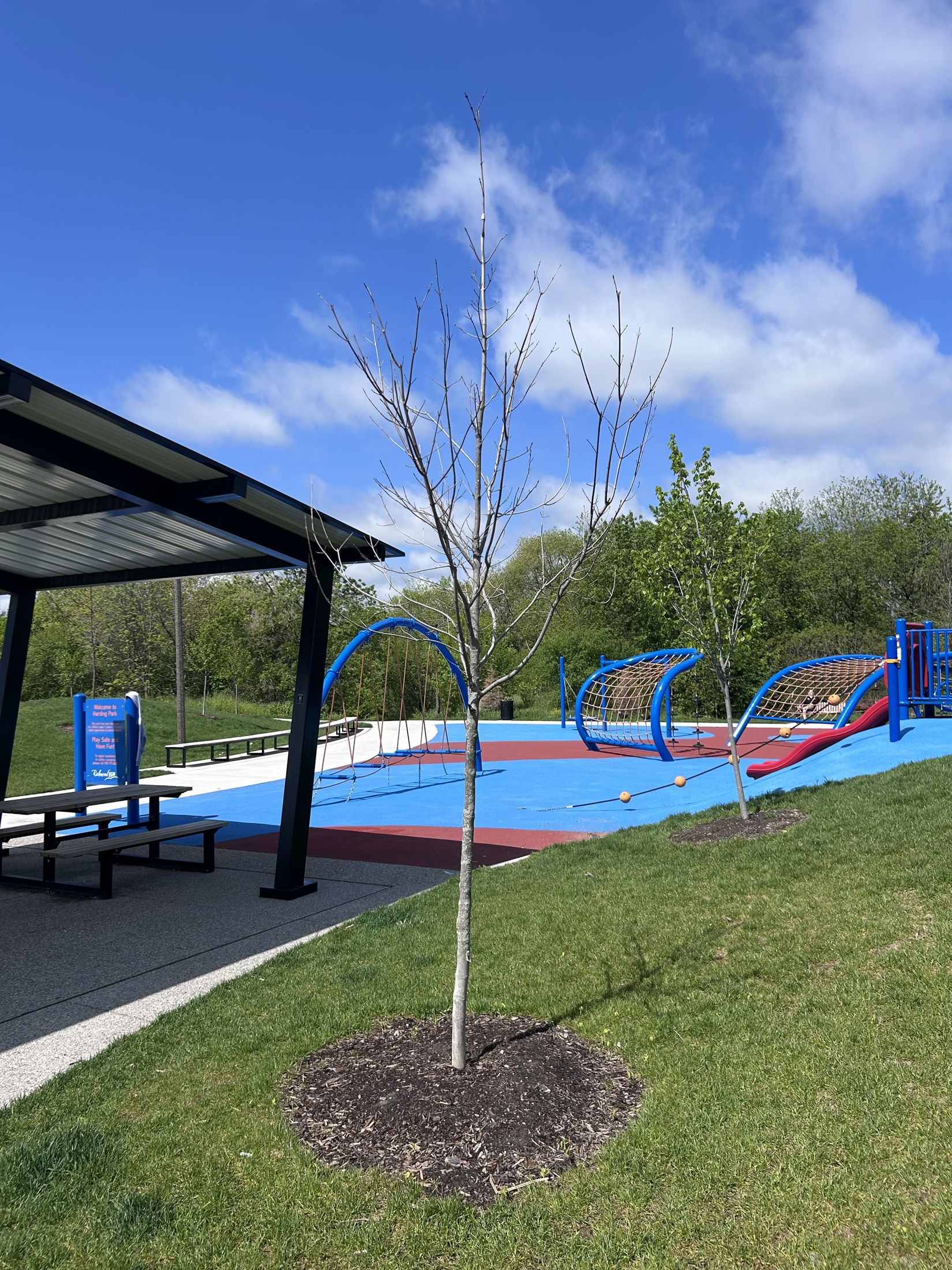 Harding Park play area, Richmond Hill