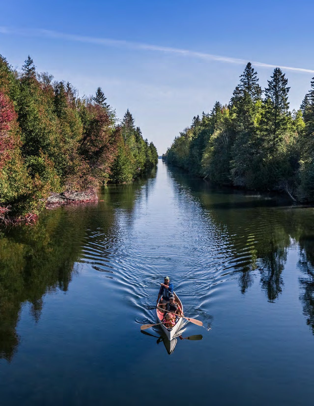 Person paddling a canoe down a tree-lined canal in Kawartha Lakes
