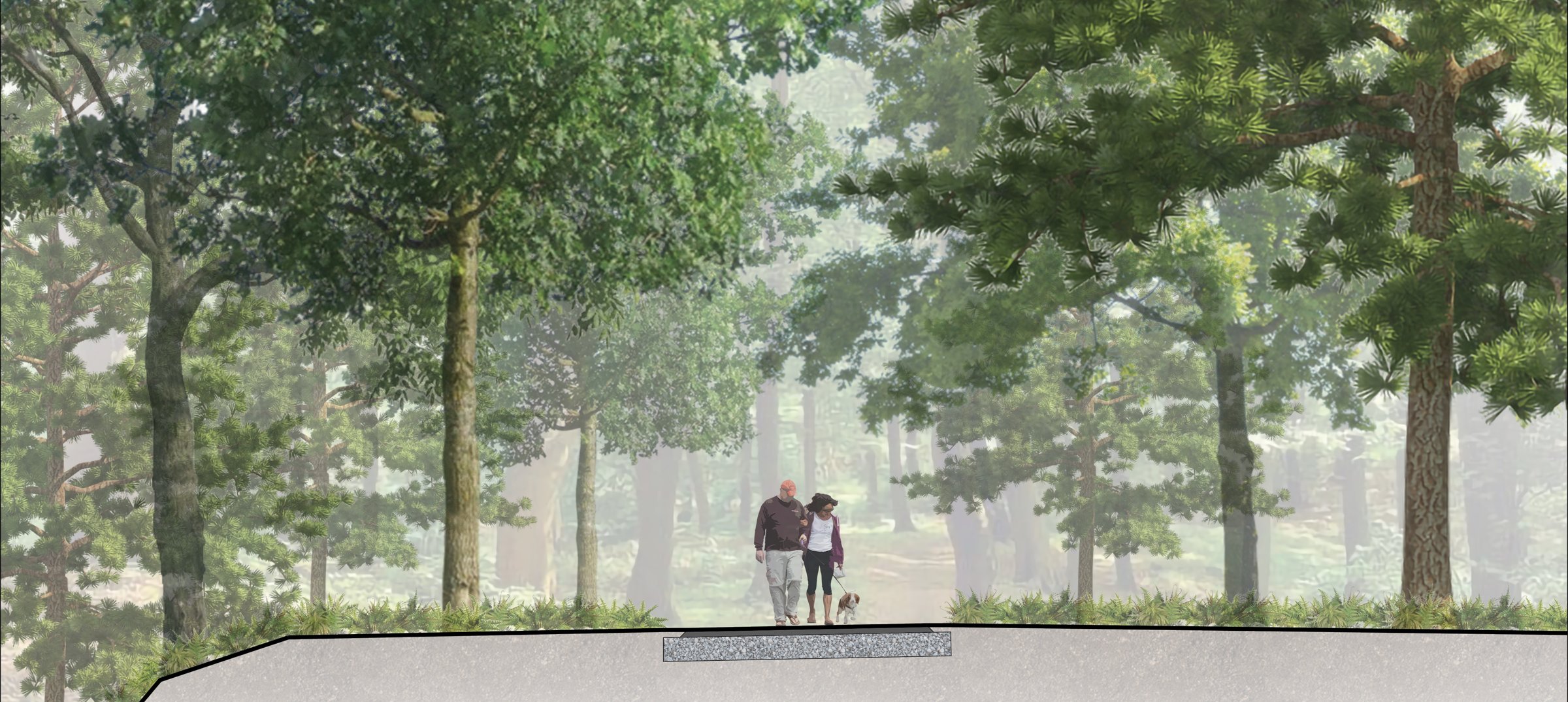 Rendering of people walking a dog on a new trail through forest in Beaver Woodland, Richmond Hill